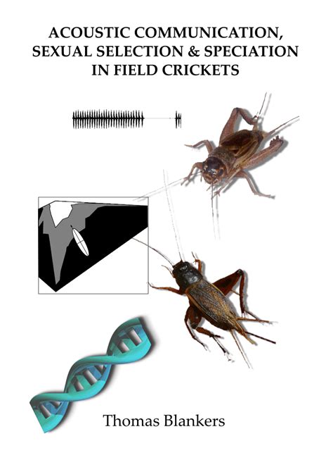 pdf acoustic communication sexual selection and speciation in field crickets