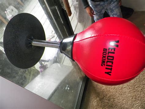 Mygreatfinds Velocity Boxing Stress Reliever Desktop Punching Ball Review