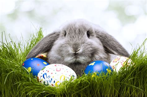 Image Easter Holidays