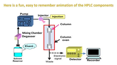 Ppt Hplc High Performance Liquid Chromatography Powerpoint