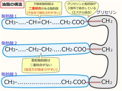 料理をするなら絶対知っておくべき植物油脂の基礎知識 レコメンタンク