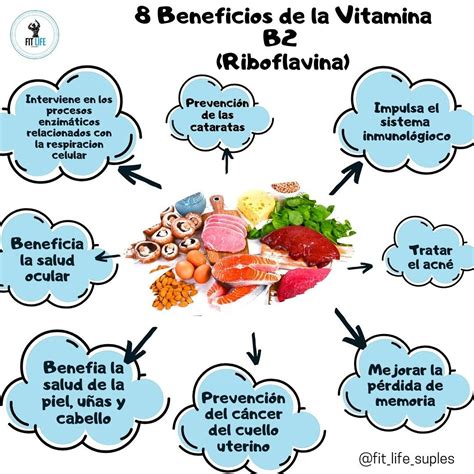Vitamina B2 Vitamina B2 Vitamina E Celulas Sanguineas