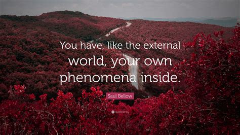 Saul Bellow Quote You Have Like The External World Your Own