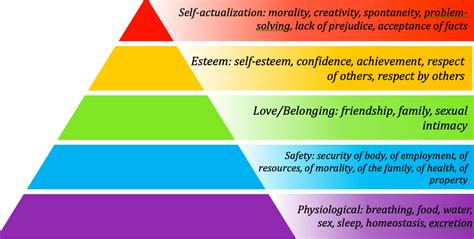 Maslows Hierarchy Of Needs 1000 Nursing Care Plans The Ultimate