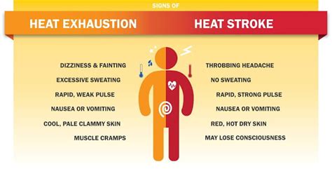 Heat Exhaustion Vs Heat Stroke First Aid Safety Notes