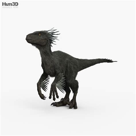 See more ideas about raptors, animals, bald eagle. Raptor HD 3D model - Animals on Hum3D