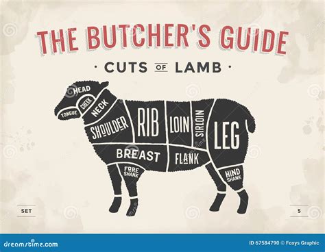 Cut Of Beef Set Poster Butcher Diagram And Scheme Lamb Vintage