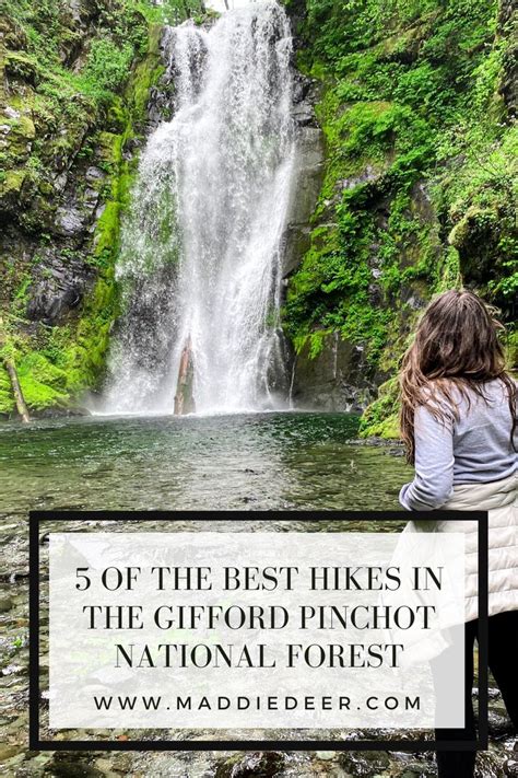 The Best Hikes In The Ford Pinchot National Forest Ford Pinchot