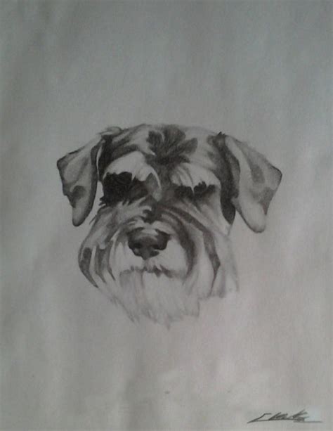 Artículos Similares A Blanco Y Negro Grafito Schnauzer Perro Dibujo