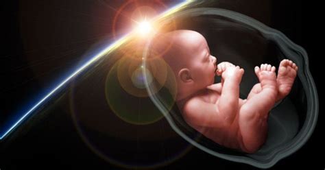 Life In The Womb Breathtaking Video Shows 9 Months In Under 5 Minutes