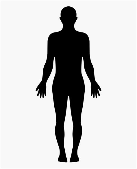 Body Silhouettes