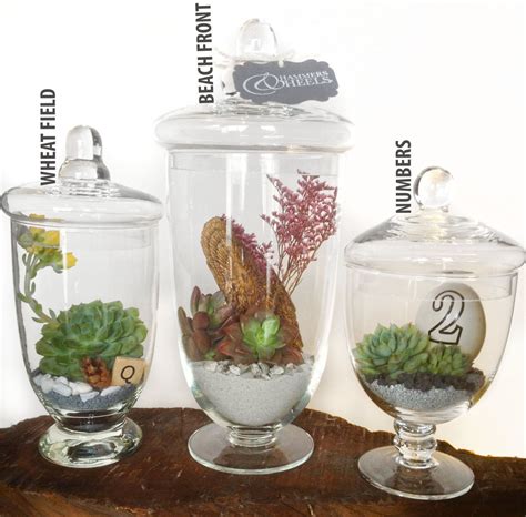 Apothecary Jar Glass Terrarium Kit Table Numbers Terrariums Kits