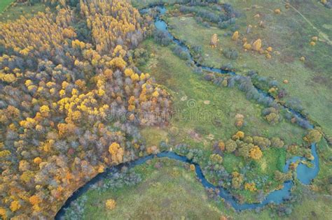 Aerial View With A Drone Winding River With Autumn Forest Top View