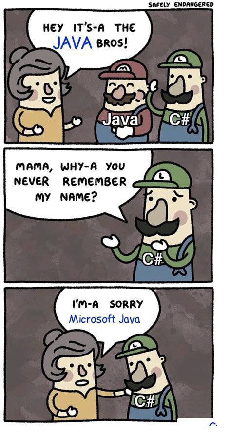 Mememicrosoft Java Programmerhumor