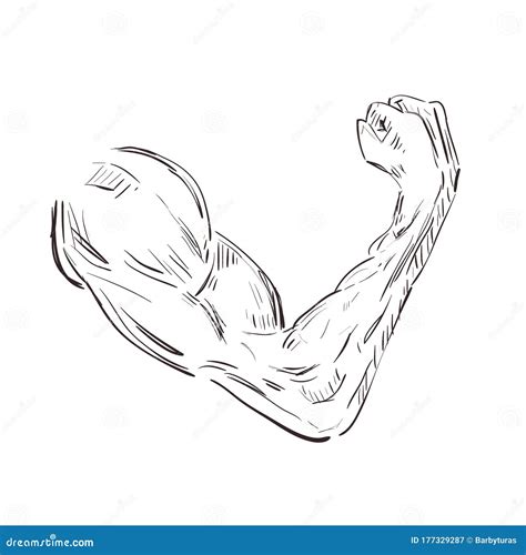 Arm Muscule Icon Illustration Of Arm Muscule Sketch Stock Vector