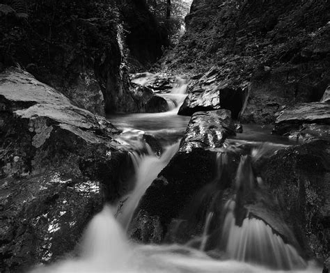 Dark River Olympus Digital Camera Gabriele Sesana Flickr