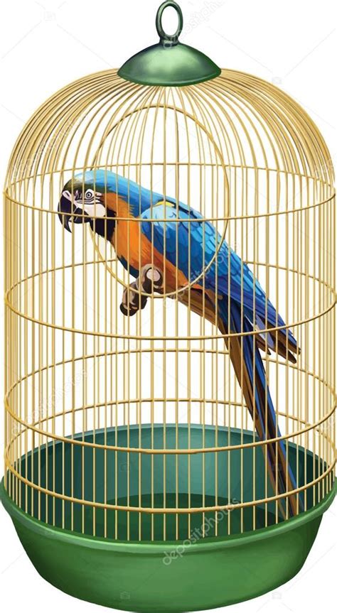 Parrot In A Retro Cage Macaw In Bird Cage — Stock Vector © Yuliaavgust