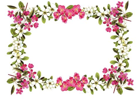 Flowers Borders Png Transparent Images Png All