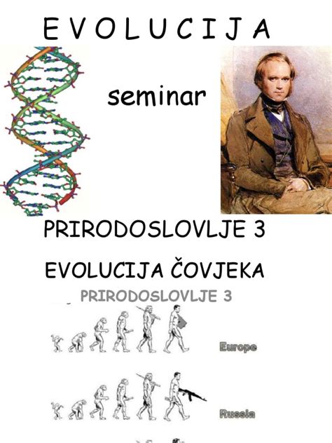 4 Evolucija Seminar 2021 Pdf