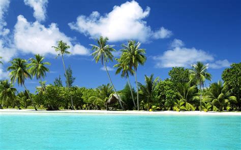 Swimming Pool Beach Palm Trees Sunrise Sea Landscape Clouds Yellow Blue