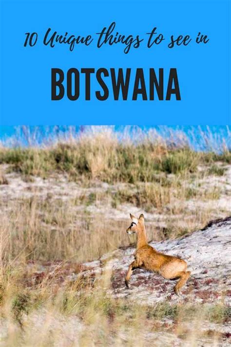 Things To Do In Botswana The Best One Week Itinerary Africa Travel Botswana Travel Botswana