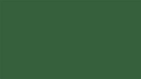 5120x2880 Deep Moss Green Solid Color Background