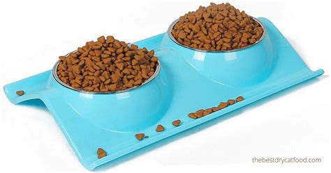 High protein and no fillers make this food perfect for kittens. Best High Protein Dry Cat Food 2020 Reviews & Buyer Guide