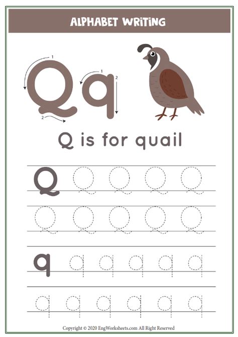 Letter Q Alphabet Tracing Worksheet With Animal Illustration Image