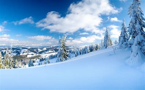 Wallpaper Snow Slope Winter Mountains Resort Mountain Skiing