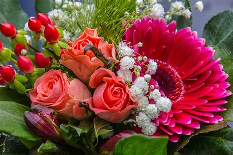 Bouquets De Fleurs Images Gratuites Latelier Des Fleurs