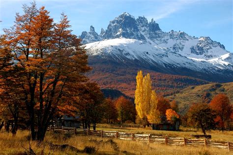 Fall Fence Trees Mountain Forest Chile Patagonia