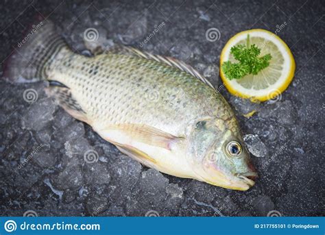 Tilapia Fish Freshwater For Cooking Food In The Asian Restaurant Fresh