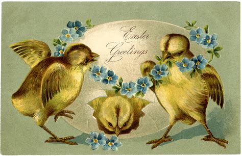 Vintage Easter Chicks Image Adorable The Graphics Fairy