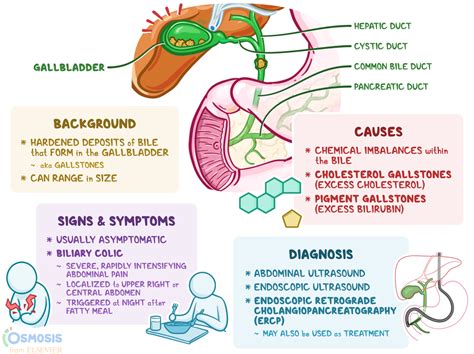 Signs And Symptoms Of Gallstones Cheap Purchase Save 48 Jlcatjgobmx