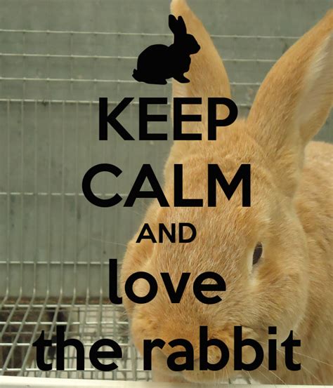 Keep Calm And Love The Rabbit Keep Calm And Carry On Image Generator