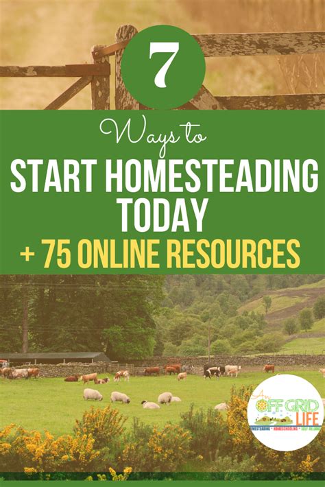 7 Ways To Start Homesteading Today Backyard Farming Homesteading