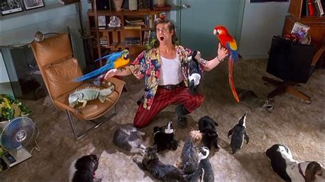 Ace Ventura Pet Detective Pet Detective Ace Ventura Pet Detective