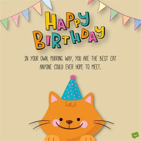 65 Cute Cat Birthday Wishes For A Purry Happy Birthday