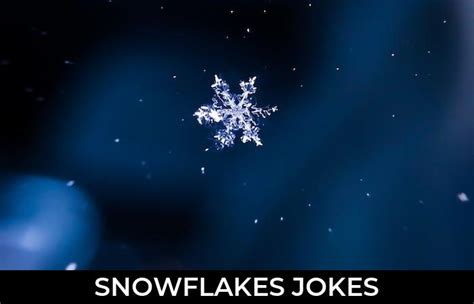41 Snowflakes Jokes And Funny Puns Jokojokes