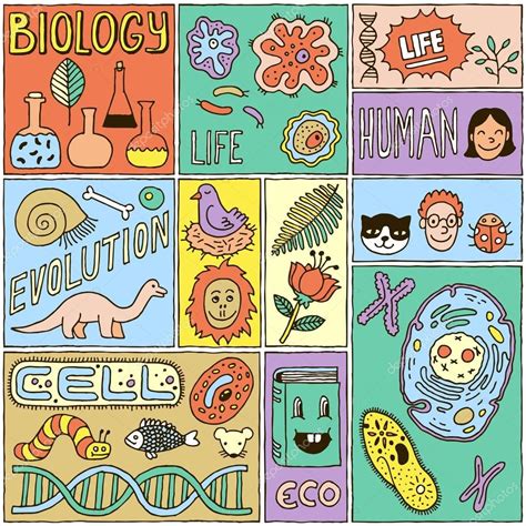 Biology Science Banners Set Color Hand Drawn Vector Illustrations