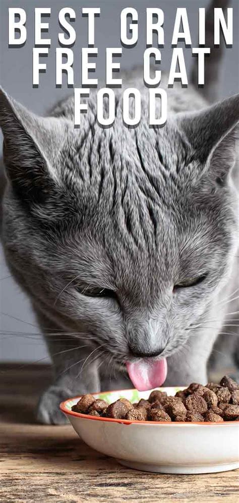 See full list on catpointers.com The Best Grain Free Cat Food - Which One To Choose, And ...