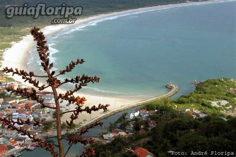 Barra Da Lagoa Praias Em Florianópolis Guia Floripa