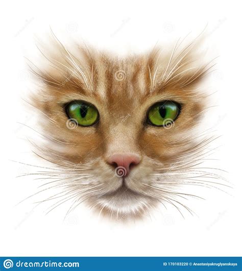 Maybe when i am bored (or tomorrow in the nightshift, even when i should work on other drawings Portrait Of A Red Cat On A White Background, Green Eyes ...
