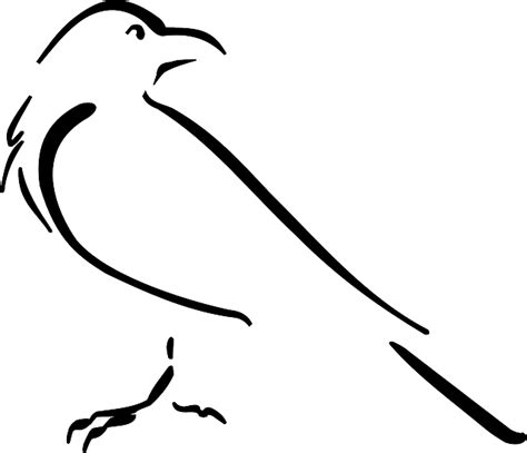 Free Vector Graphic Crow Bird Outline Drawing Free Image On