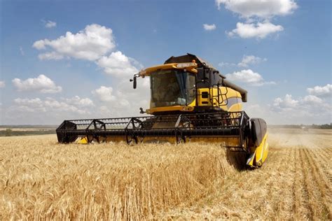 Demand From China Puts Ukraine Barley Above Top End Milling Wheat