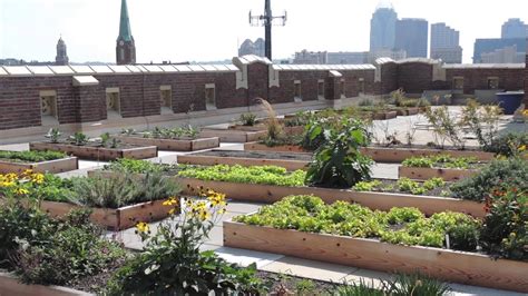 Once you structure your rooftop garden in your mind, clear up the path for implementation. Green Roofs: The Urban Gardens of the Future | Angelic ...