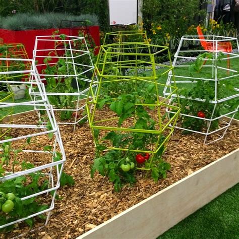 Geo Tomato Cage In Raised Beds Vertical Vegetable Gardens Tomato
