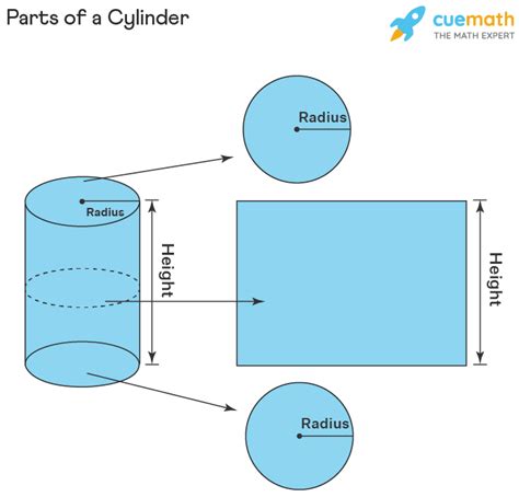Cylinder Formula Definition Examples Cylindrical Shape 2022