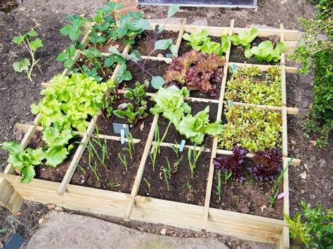 How Many Plants Per Square Foot Plant Spacing In A Square Foot Garden