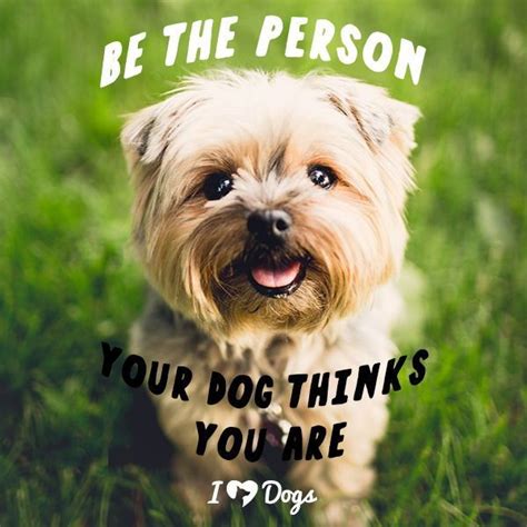 Be The Person Your Dog Thinks You Are Dog Meme Dog Inspirational